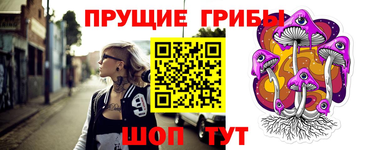 Галлюциногенные грибы Cubensis Саяногорск