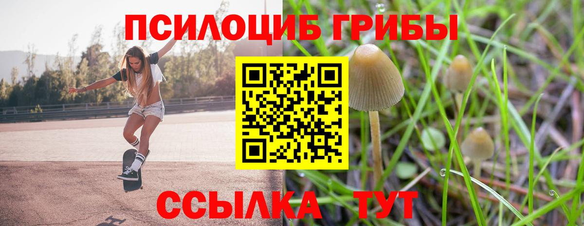Псилоцибиновые грибы Magic Shrooms  купить наркотик  Саяногорск  Вход с VPN  Галлюциногенные грибы GOLDEN TEACHER 